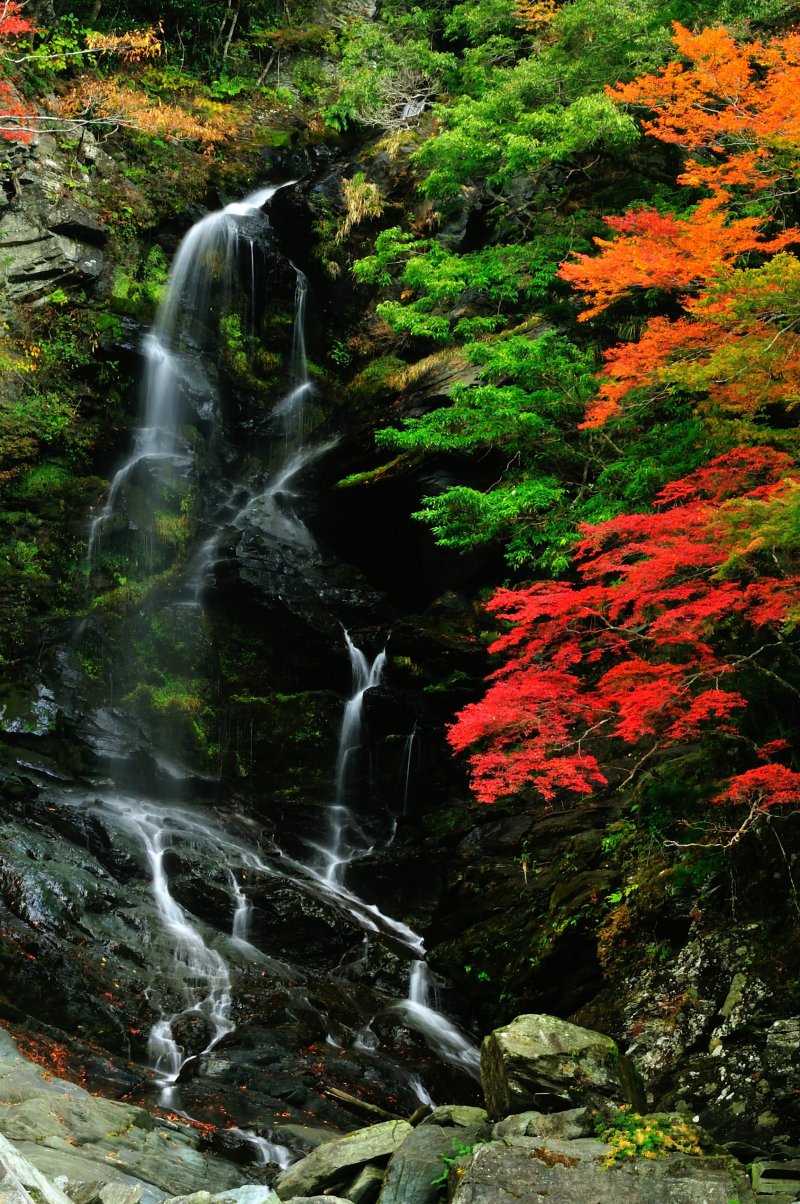 <p>A waterfall suddenly materialized when I was walking along the Iya river through the valley from Ochiai village</p>