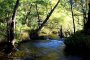 가미코치: 아즈사 강을 따라 등산하다