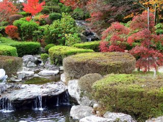 Beautifully landscaped Japanese garden