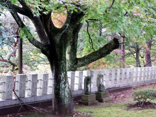 Two small statues standing side by side at the foot of the giant maple tree