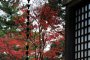 Konpira Shrine at Nishiyama Park