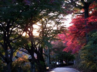 석양아래의 니시야마 공원의 기도길
