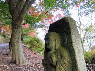 Buddha statue under a giant maple tree
