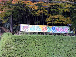 Panda Land terletak di dalam &#39;Hutan Petualangan&#39; di Taman Nishiyama

