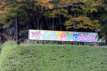 <p>Panda Land is located inside the &#39;Adventure Forest&#39; in Nishiyama Park</p>
