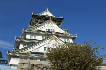 <p>The beautiful Osaka Castle</p>