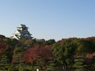 View of the castle from the Nishinomaru Garden