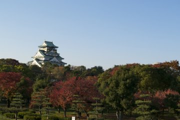 <p>View of the castle from the Nishinomaru Garden</p>