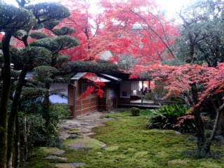 The sukiya style hermitage at Kunenan