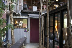 The caf&eacute; entrance hidden behind bamboo trees