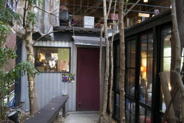 <p>The caf&eacute; entrance hidden behind bamboo trees</p>