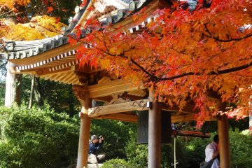 <p>The temple&#39;s bell tower is framed by colorful maples</p>