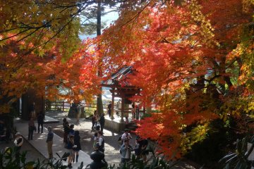 <p>The precincts of the entire temple are awash with fall color</p>