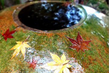 <p>A chozubachi is covered with maple leaves</p>