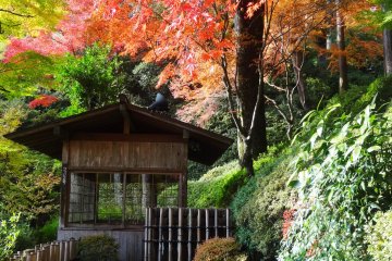 <p>A maple provides a beautiful backdrop for a rest house in the garden</p>