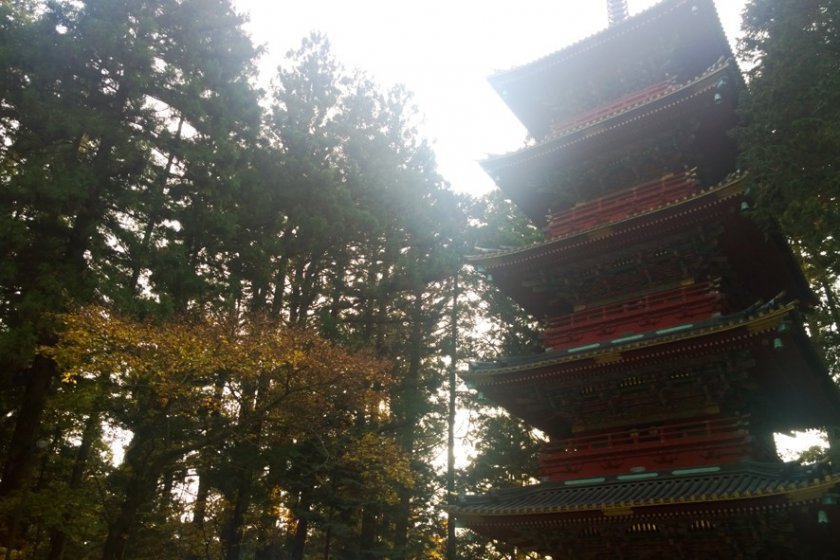 เจดีย์ 5 ชั้น หนึ่งในโบราณสถานสำคัญที่อยู่ด้านหน้าทางเข้าศาลเจ้านิกโกะโทโชกุ (Nikko Toshogu Shrine)