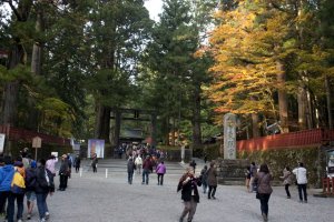 บริเวณทางเข้าศาลเจ้านิกโกะโทโชกุ (Nikko Toshogu Shrine) ที่จะต้อนรับเราด่านแรกด้วยประตูโทริอิหินอันเก่าแก่และแข็งแกร่ง