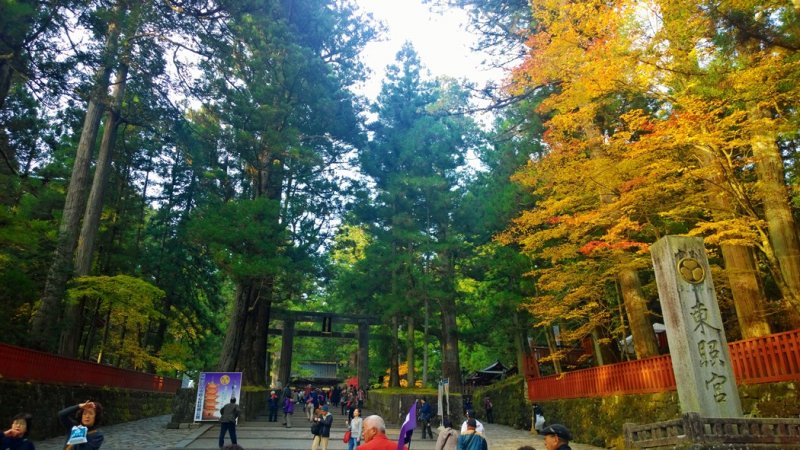 <p>ความงดงามของในฤดูใบไม้เปลี่ยนสีของด้านหน้าทางเข้าศาลเจ้านิกโกะโทโชกุ (日光東照宮 &ndash; Nikko Toshogu) ที่ต้อนรับเราด้วยประตูโทริอิหินอันเก่าแก่งดงาม</p>