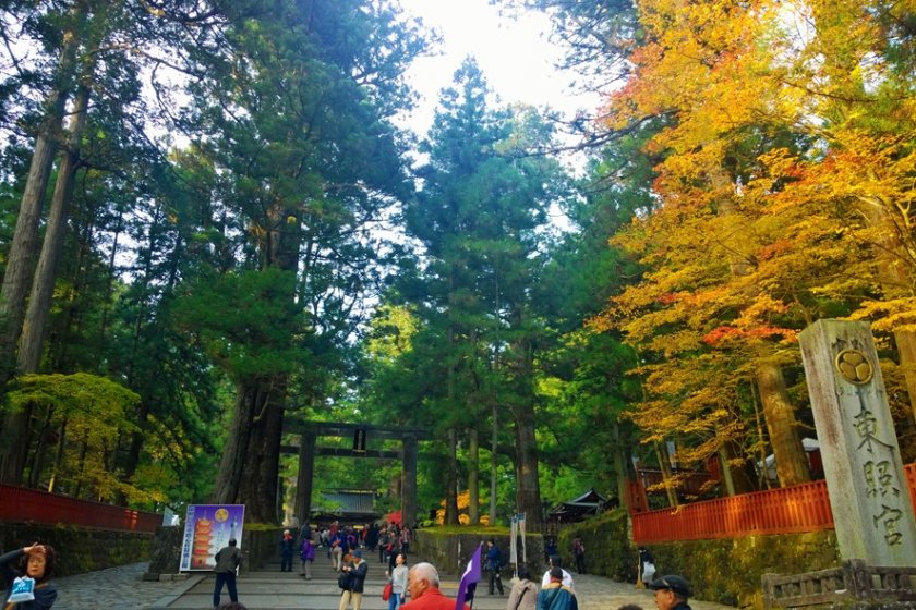 ความงดงามของในฤดูใบไม้เปลี่ยนสีของด้านหน้าทางเข้าศาลเจ้านิกโกะโทโชกุ (日光東照宮 – Nikko Toshogu) ที่ต้อนรับเราด้วยประตูโทริอิหินอันเก่าแก่งดงาม