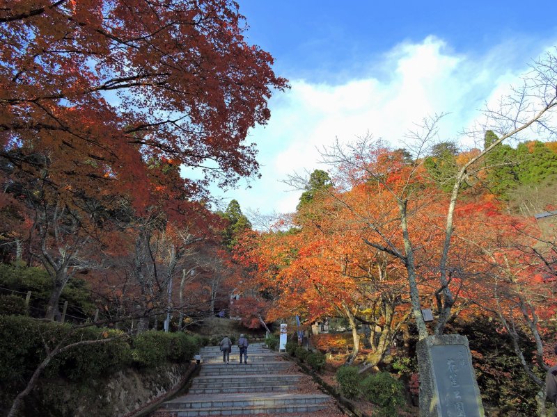 <p>Multi-colored entrance of Kakyo Park in Echizen city, Fukui</p>