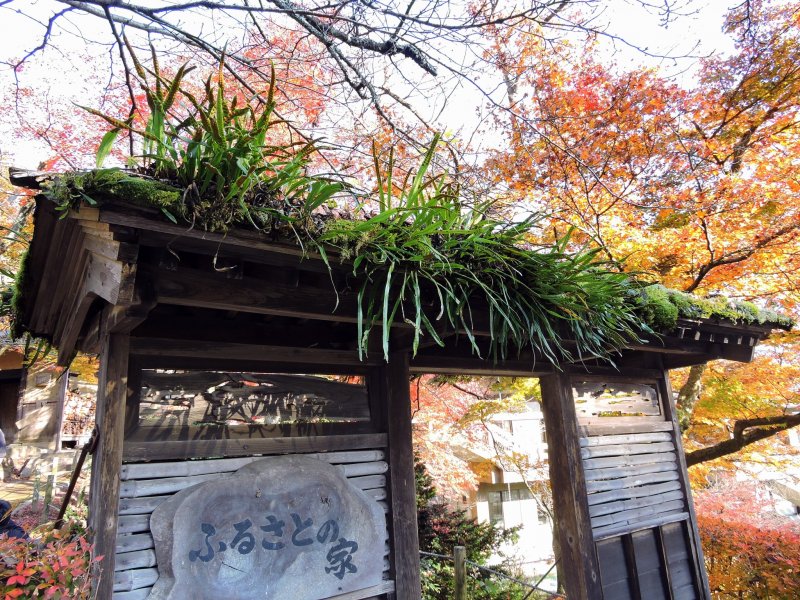 <p>Entrance of Furusato-no Ie. Look at these weeds growing wild on the roof of the gate!</p>