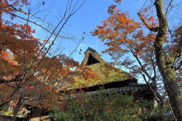 후쿠이 카쿄공원(花筐)의"고향의 집"