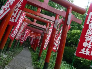 These series of red torii gates mark the entrance to Sasuke Inari Shrine.  I did not count how many torii gates there were, but they follow the trail all the way to the shrine.  Most of the wooden torii gates have been replaced by plastic ones, but you ca