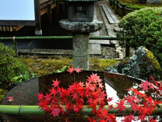 Suikinkutsu (Water Koto Cave) and a stone lantern with a splash of red maple leaves