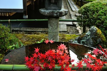 <p>Suikinkutsu (Water Koto Cave) and a stone lantern with a splash of red maple leaves</p>