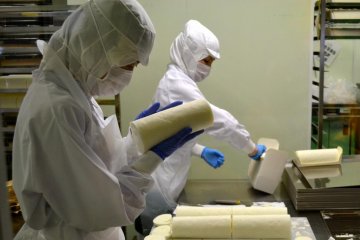 Meticulous inspection of the Shiroi Koibito white cream roll cakes