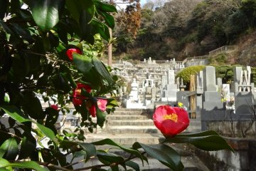 There is a general cemetery located in the back of the temple grounds.