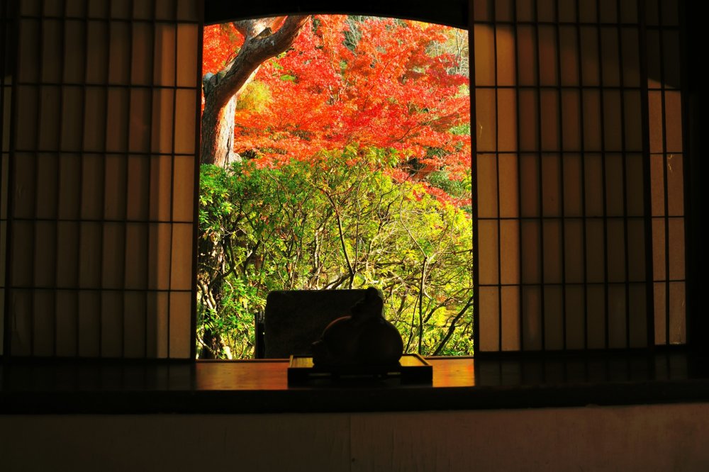 Brilliant maple leaves seen from the small window of Kachoden Hall