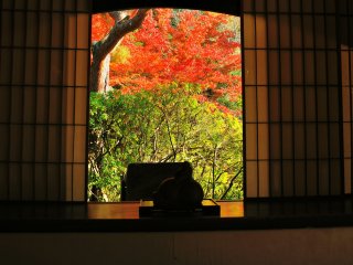 Brilliant maple leaves seen from the small window of Kachoden Hall
