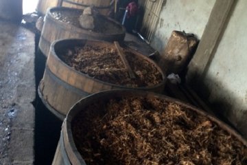 <p>After the cooking, put into barrels for fermentation</p>