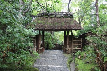 Gio-ji Temple, Kyoto: Part 2 of 4