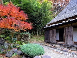 Japanese garden and old house with thatched roof, surrounded by bamboo forest... a perfect picture of good old Japan!
