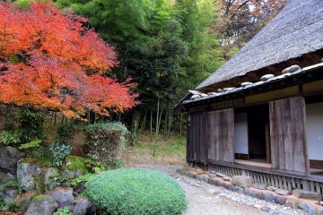 일본정원과 초가집, 대나무 숲으로 둘러싸인... 좋은 옛날 일본의 완벽한 사진!