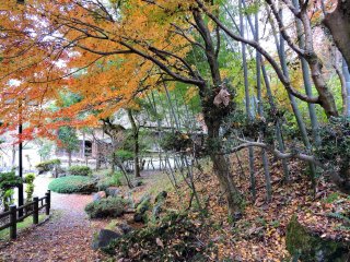 오사고에 민가원은 가을빛으로 가득한 언덕의 기슭에 위치해 있다