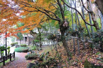 오사고에 민가원은 가을빛으로 가득한 언덕의 기슭에 위치해 있다