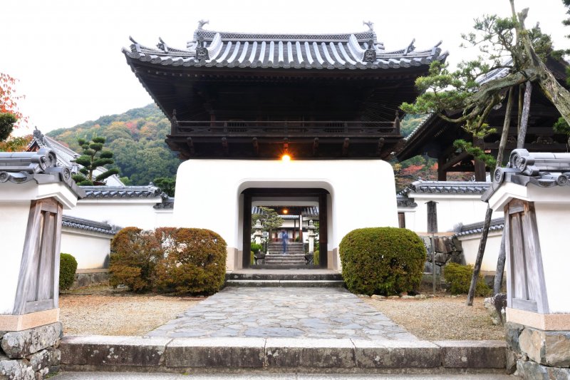 The main gate of Koshoji is made in the unique &#39;Dragon Palace Style&#39;, which features white walls