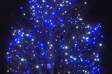 Подсветка на деревьях сделана так, что мигает под воздействием ветра, словно звезды в небе