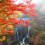 후쿠로다 폭포의 가을 풍경