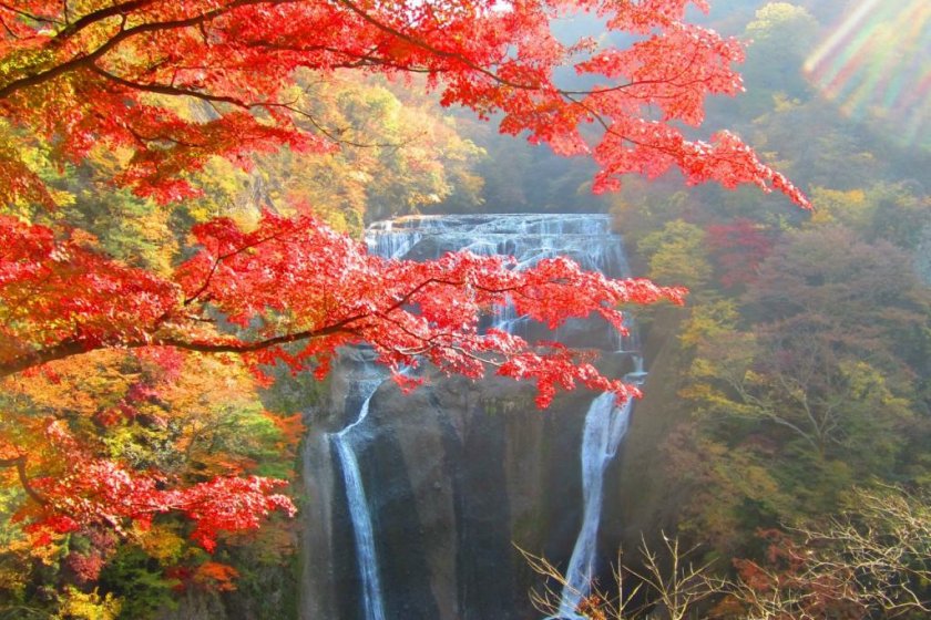 Quang cảnh những thác nước Fukuroda từ nơi cao nhất