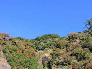 水仙廼社は、越前海岸に面したこの山の麓にある