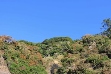 <p>Daffodil Shrine is located at the foot of this hill which faces Echizen Beach</p>