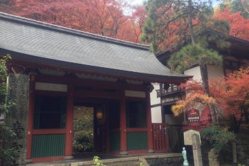 <p>The main gate of Otagi Nenbutsu-ji Temple</p>