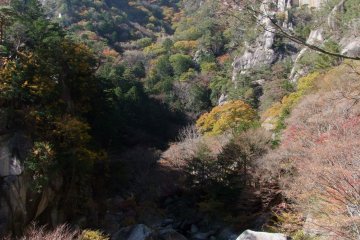 <p>Enjoy the beauty of Yamanashi Prefecture</p>