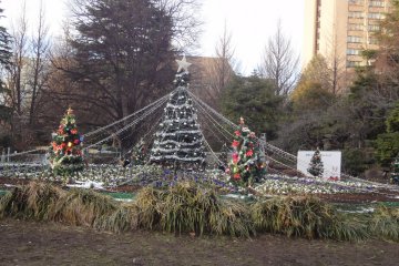 <p>&nbsp;These trees&nbsp;with&nbsp;ornaments are lit up each night in Kotodai Park</p>