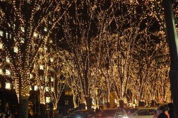 <p>See the stunning illumination on Jozenji&nbsp;Avenue</p>