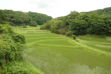 Touring Chiba’s Green Landscape 